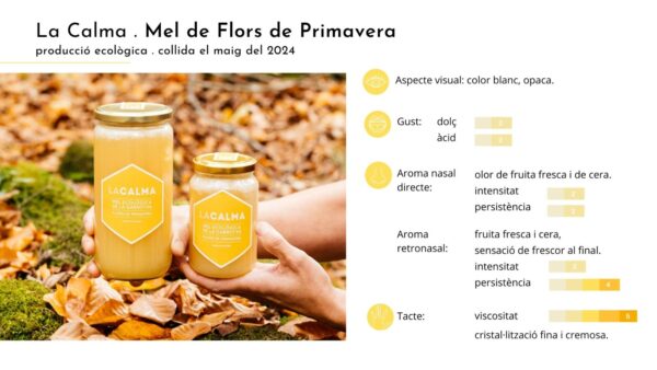 Mel Flors de Primavera - pot 1/2 kg